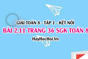 Giải bài 2.11 trang 36 Toán 8 Tập 1 SGK Kết nối tri thức